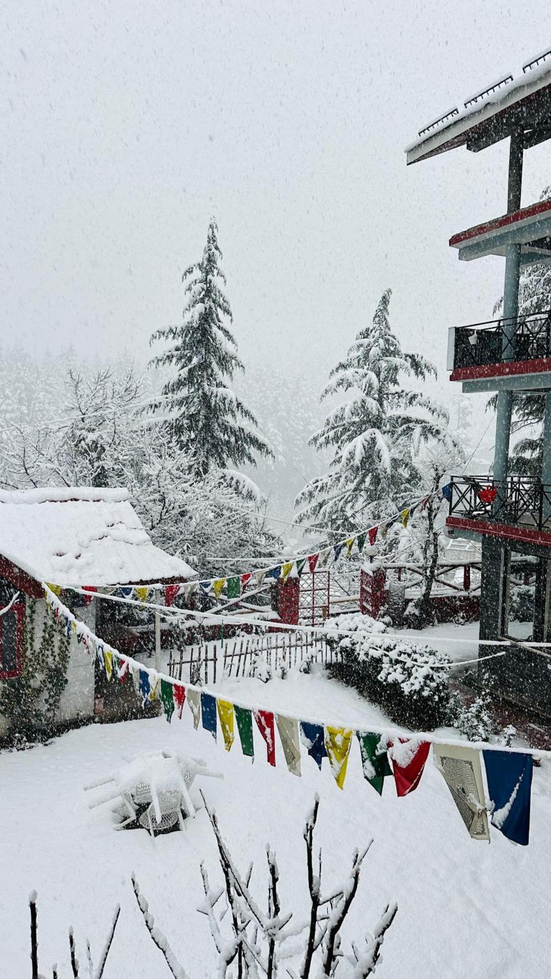 Red House Cafe And Inn Manāli エクステリア 写真