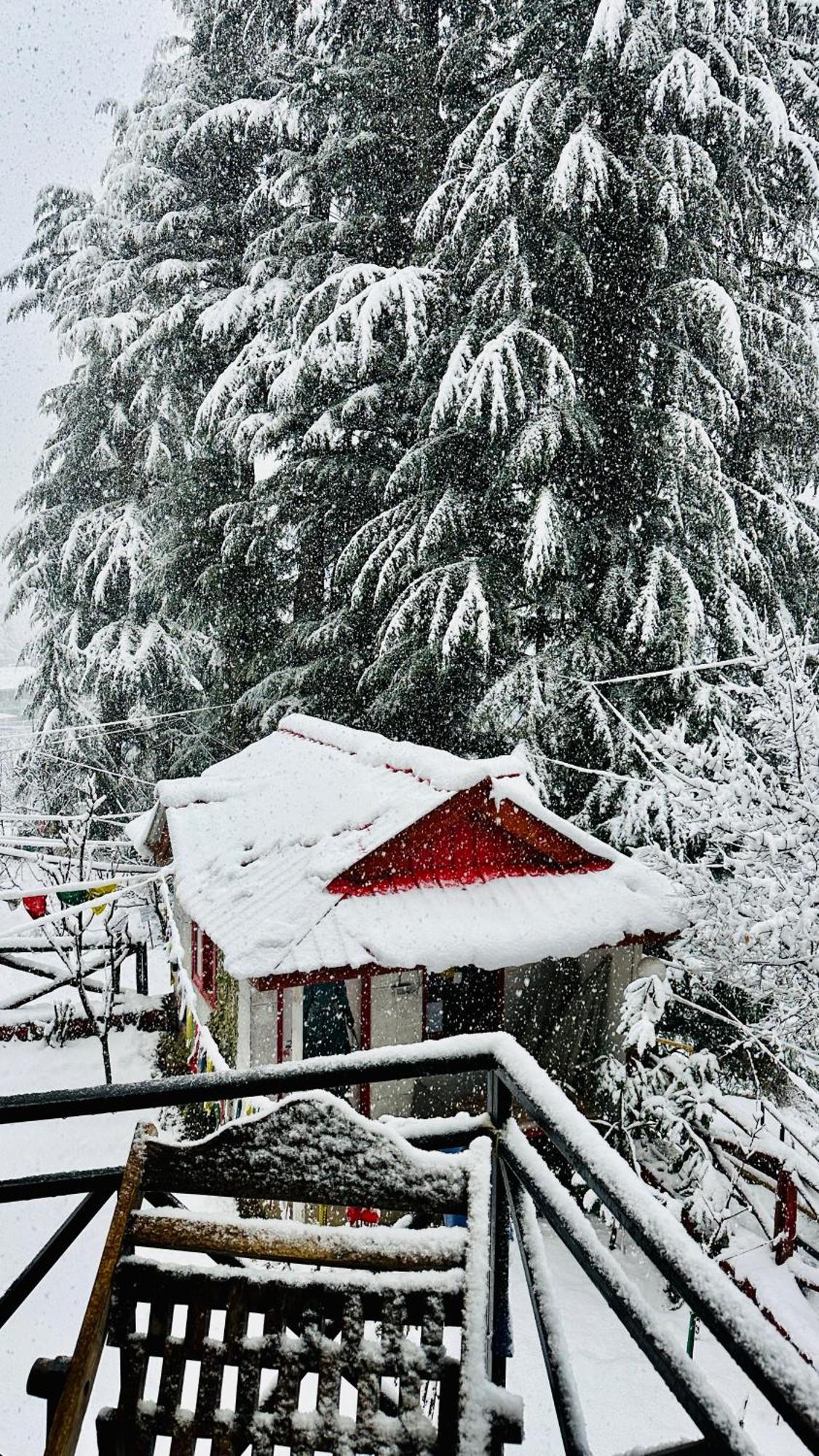 Red House Cafe And Inn Manāli エクステリア 写真